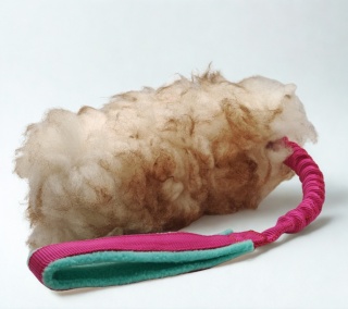 Owca na amortyzatorze